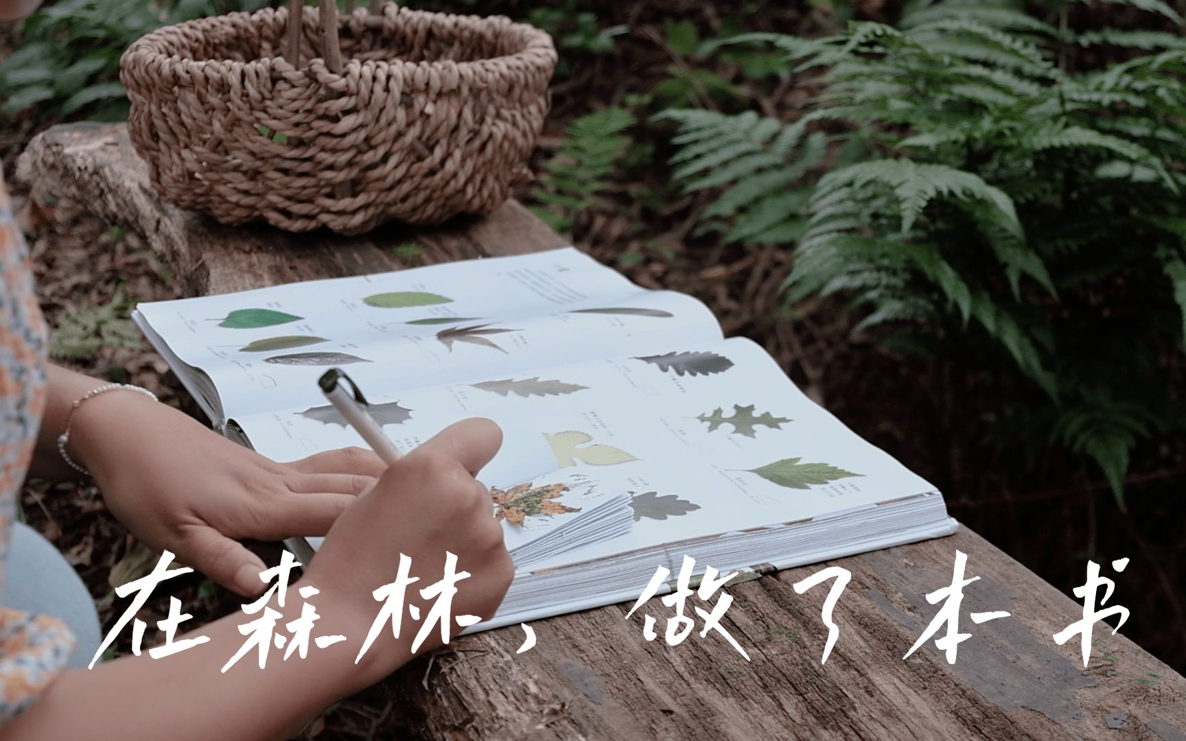 【制作迷你书】DIY BOOK| 和孩子在森林里,做个植物小豆本哔哩哔哩bilibili