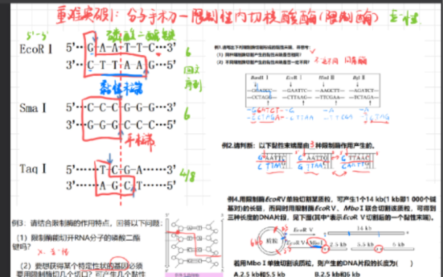 基因工程重难点1~限制酶及典型习题哔哩哔哩bilibili