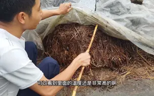 Скачать видео: 很多人不知道田螺吃什么，田螺其实吃牛粪，看看我是怎么加工的吧