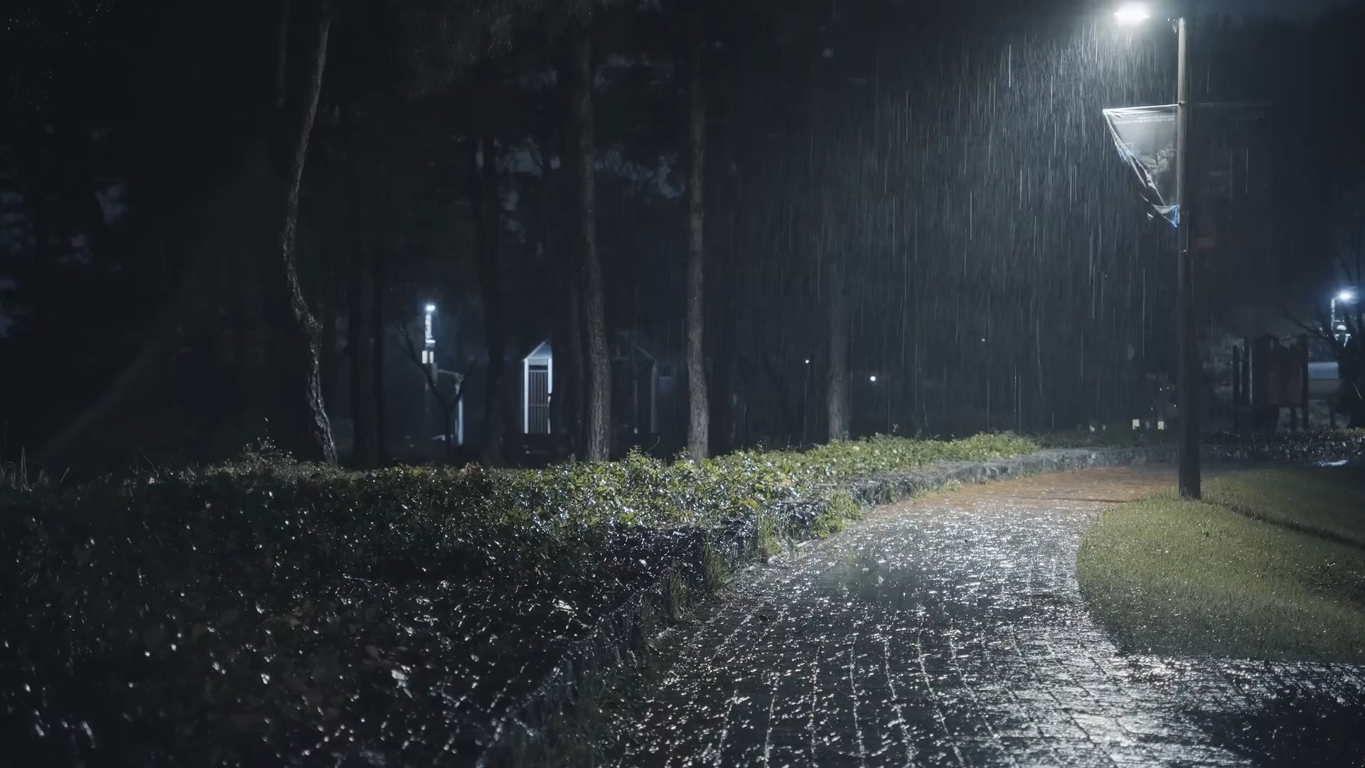 为缓解压力和实现快速入眠的夜晚公园中的暴雨雨声 asmr
