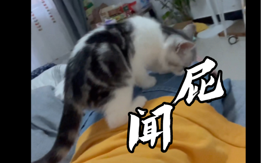 闻屁?这是什么癖好?