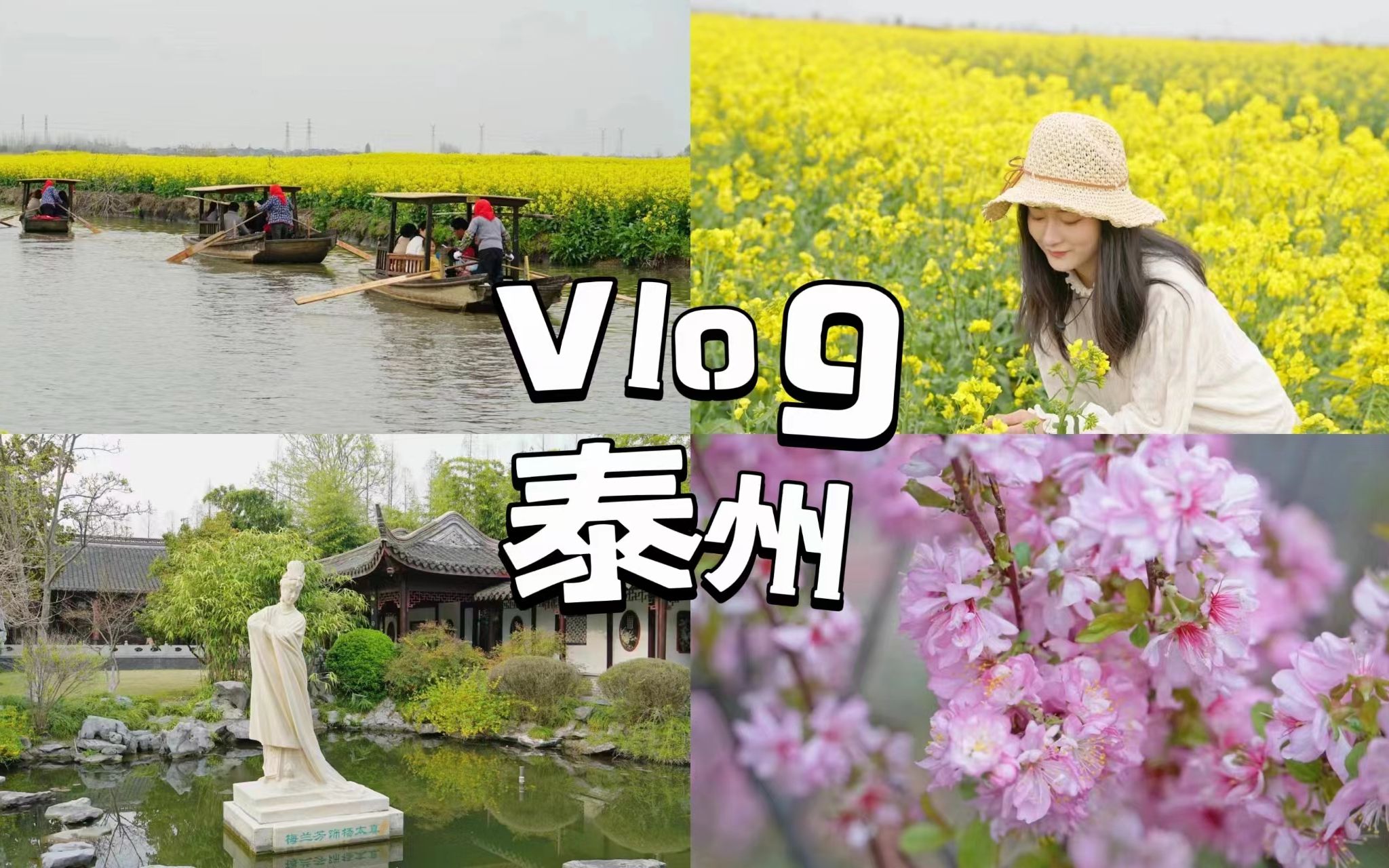 VLOG 城市篇:泰州|兴化千垛水上油菜花|碧水东罗|望海楼|凤城河|梅兰芳纪念馆哔哩哔哩bilibili