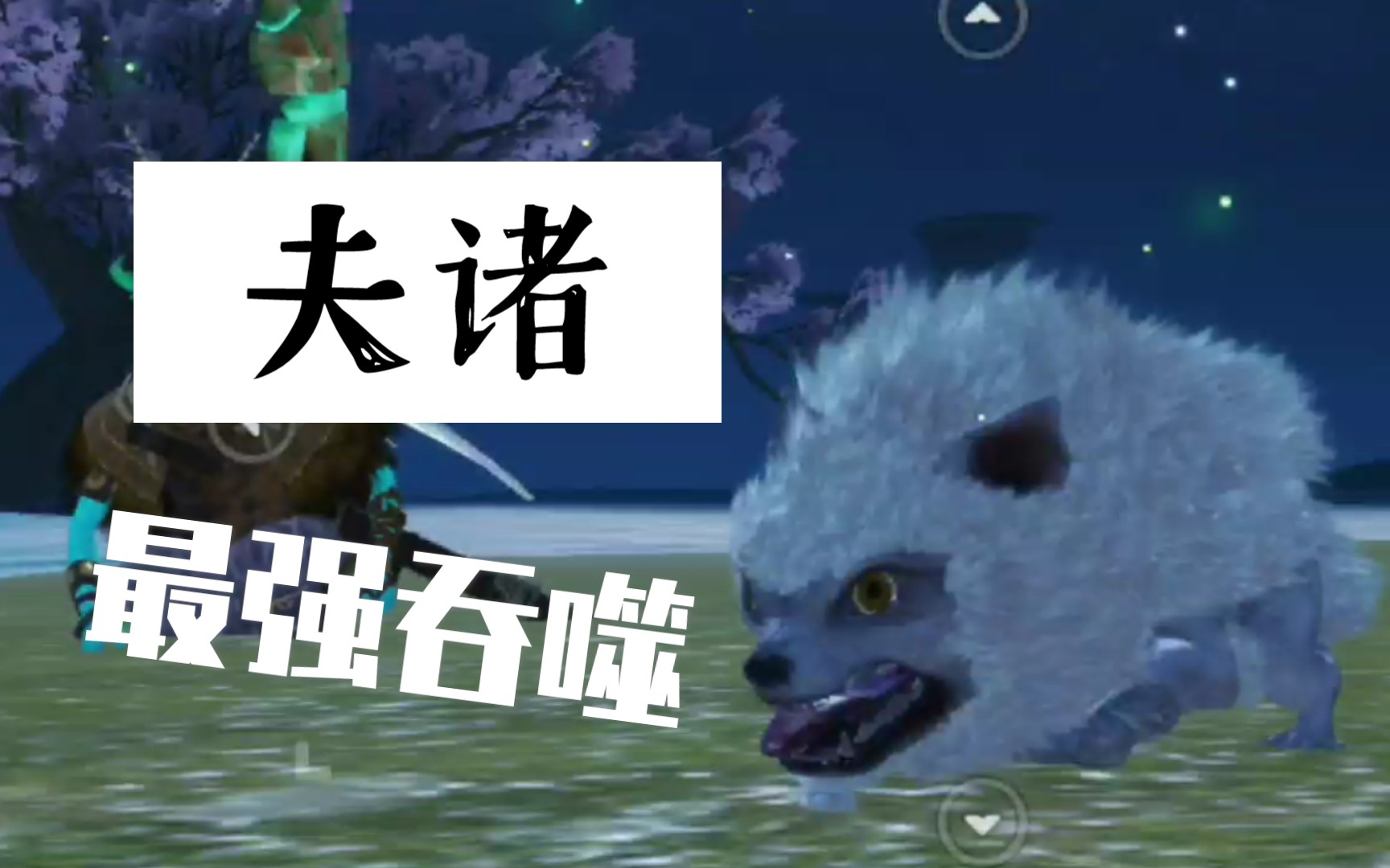 妄想山海最强坐骑最凶小伙伴