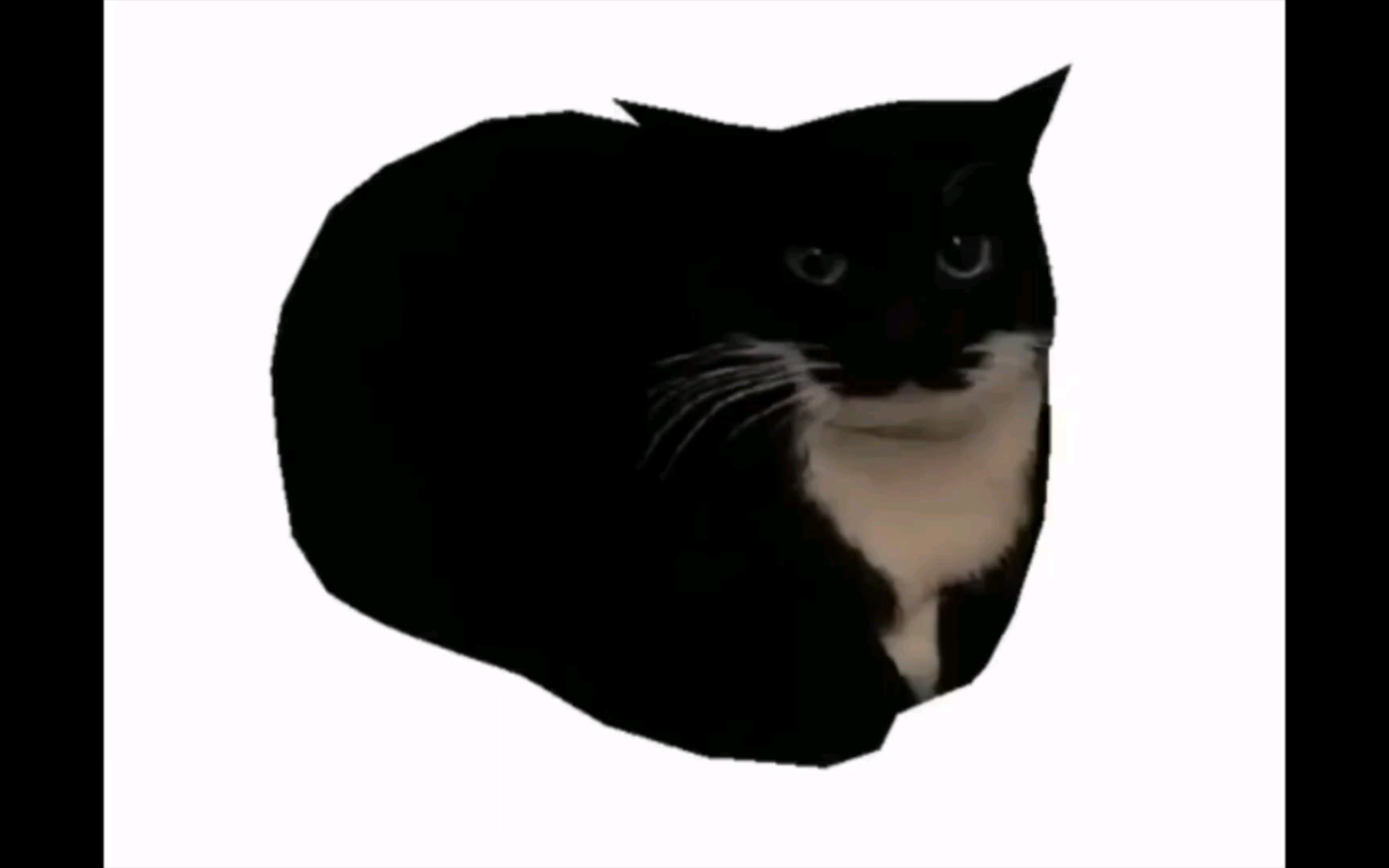 臭猫(maxwell cat)旋转一小时