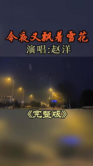 [图]#情感音乐#情感歌曲推荐#今夜又飘着雪花#赵洋