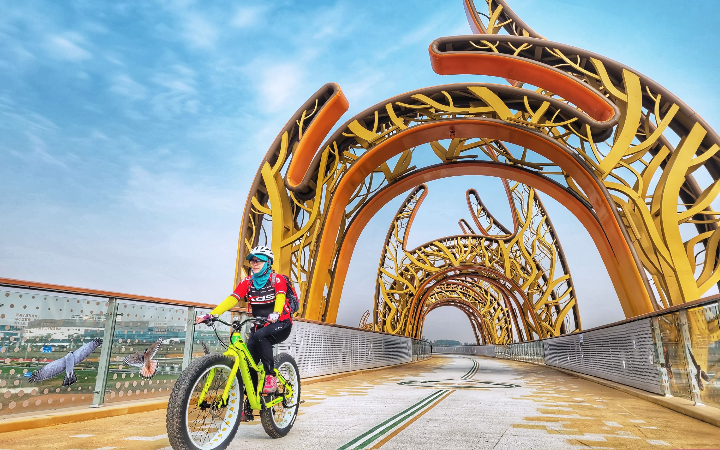 大爱成都:天府绿道,百公里骑行实录