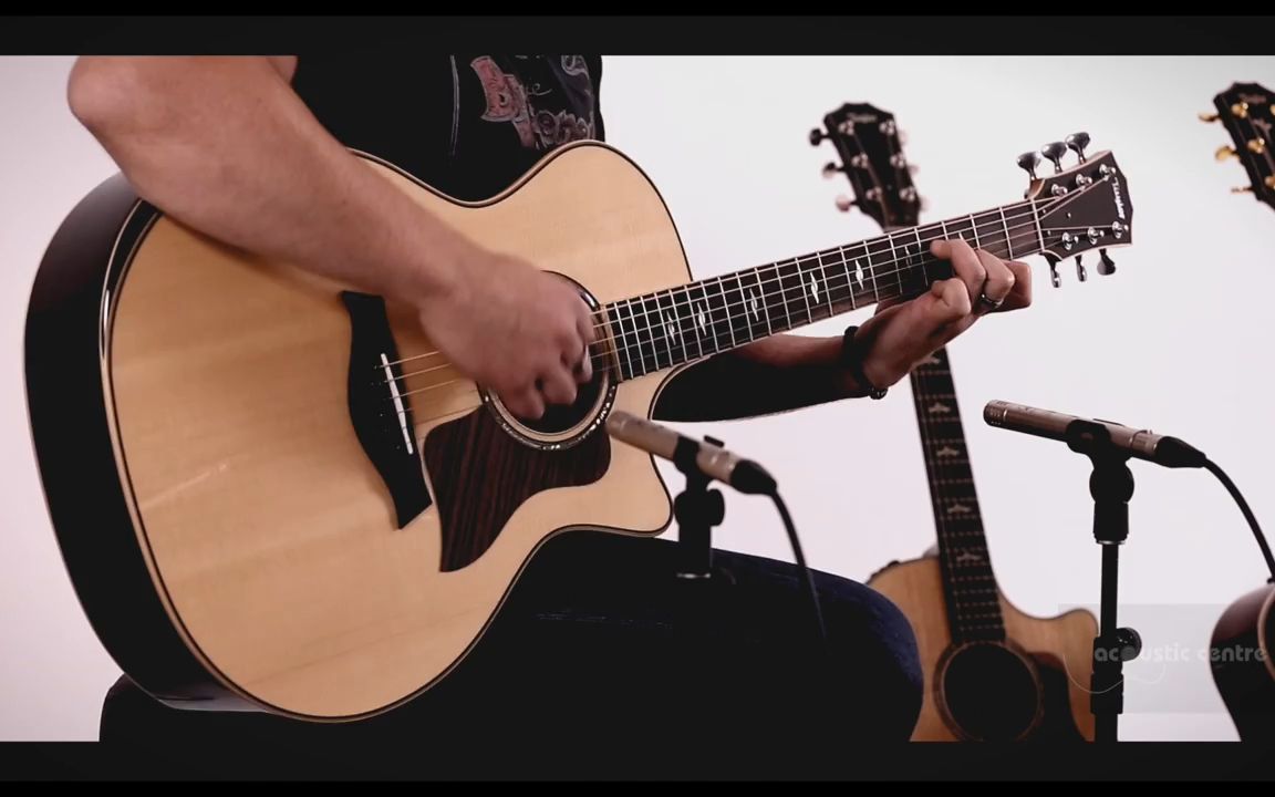 taylor 814ce-dlx, the acoustic centre.