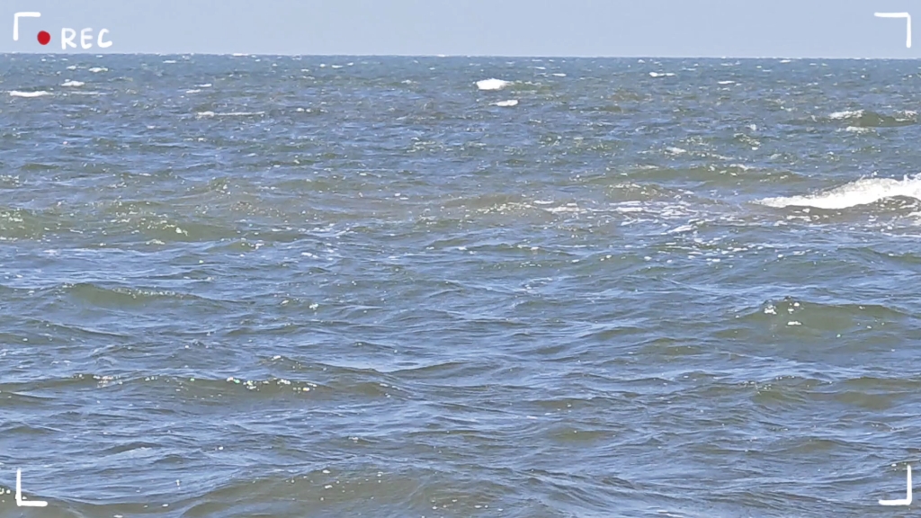 大莱州海庙的海风好柔和