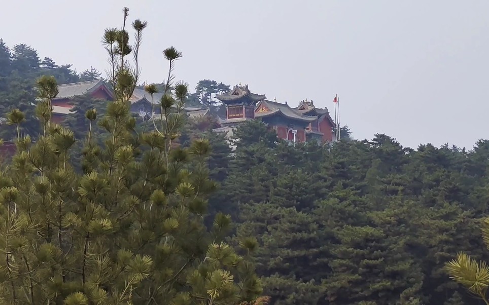 [图]发现一座被松柏包围的寺院，里面念佛的声音响彻整个山谷