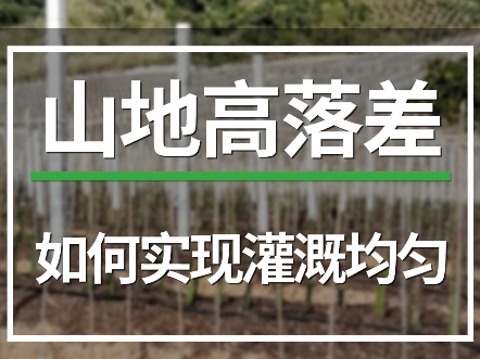 山地丘陵高落差,如何实现灌溉均匀?普通滴灌带高处出水少,低处出水多怎么办?用压力补偿滴灌带就可以得到很好的解决.#智慧农业#设施农业 #温室大...