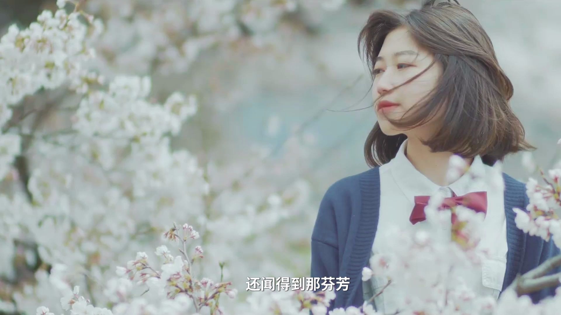 活动作品蓝心羽别处的夕阳好舒服的歌啊听的我整个人都软了