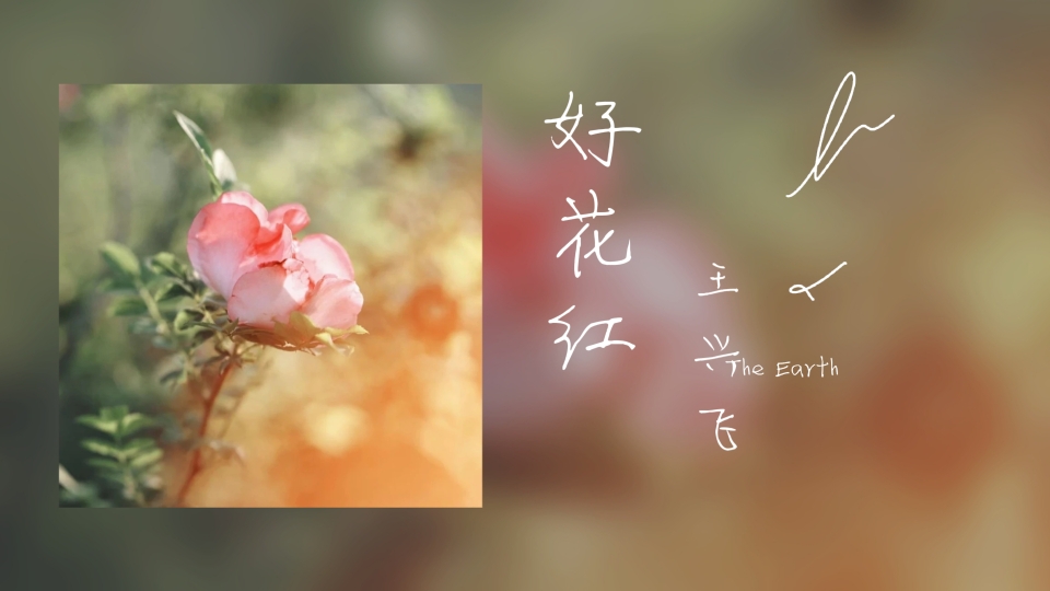 [图]日推歌单｜布依族歌曲《好花红》“好花生在茨梨树哎，哪朵向阳 哪朵红哎。”