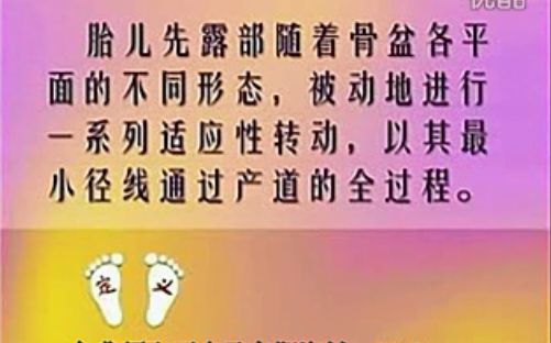 [图]孕妇分娩视频_高清视频