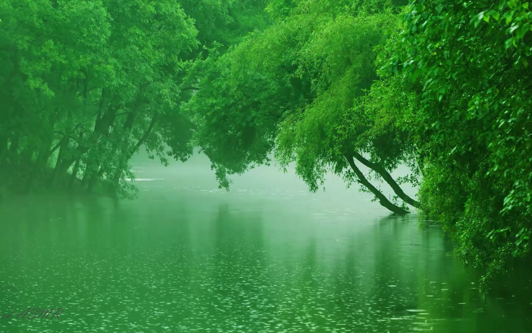 湖面的雨声,快速入睡,深度睡眠,催眠曲,白噪音,asmr,睡眠,下雨,雨天