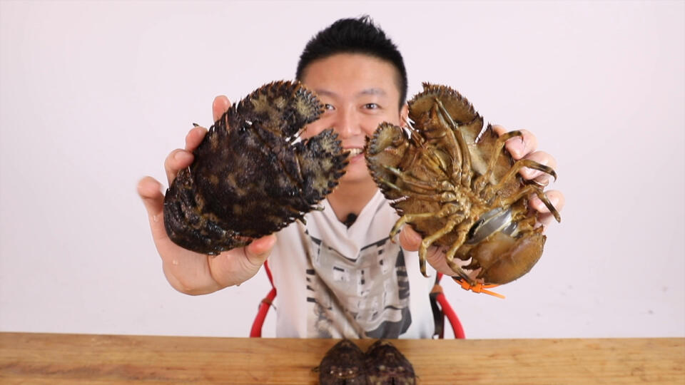 来自东海长相奇特,南极岩礁扇虾