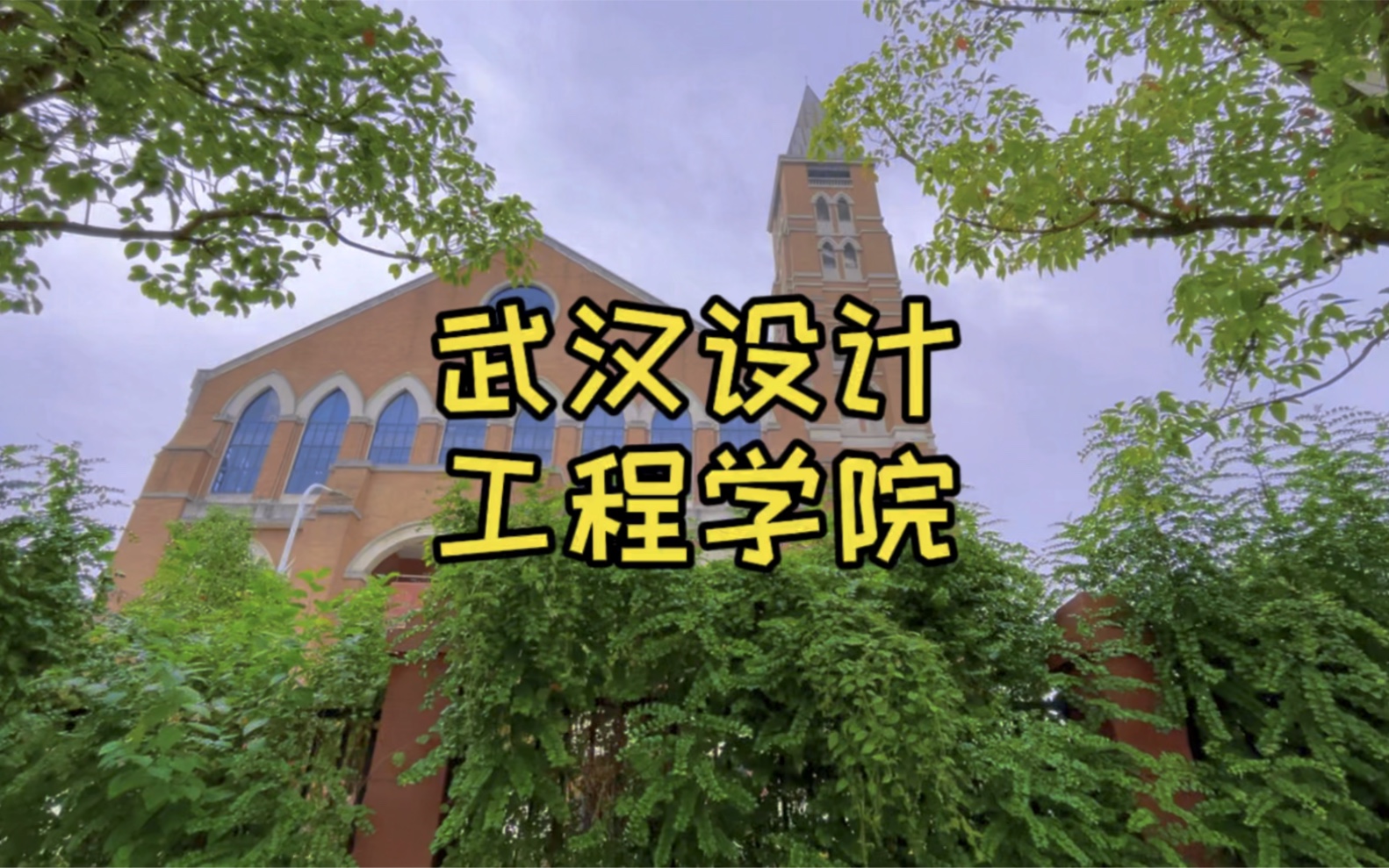 武汉设计工程学院,成龙每年都会来一次的地方,红安校区正在建设中哔哩哔哩bilibili