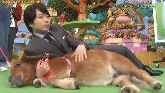 樱井翔和动物们合集