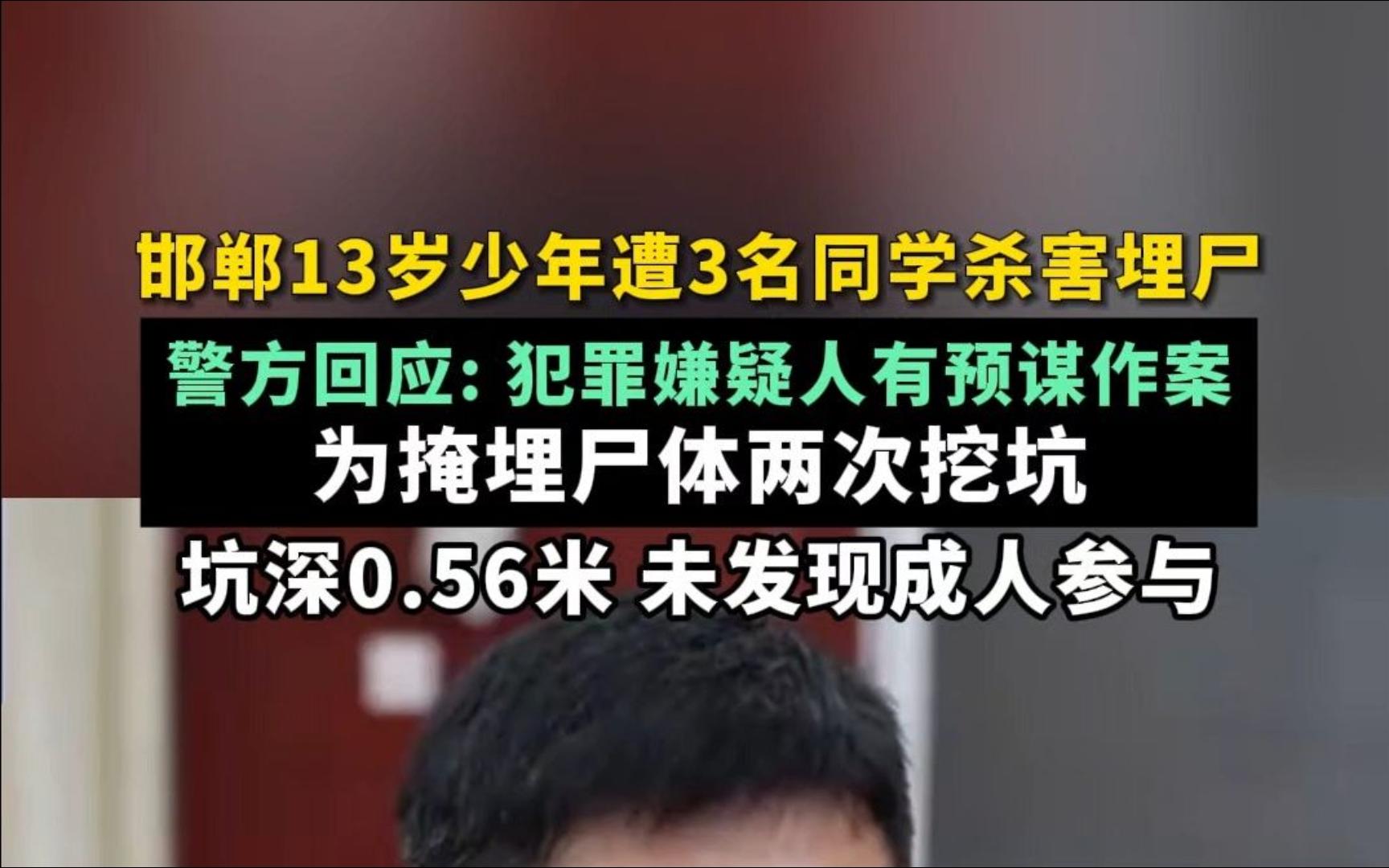 建议入刑 动画模拟河北邯郸初中生王子耀被残忍杀害埋尸一案哔哩哔哩bilibili