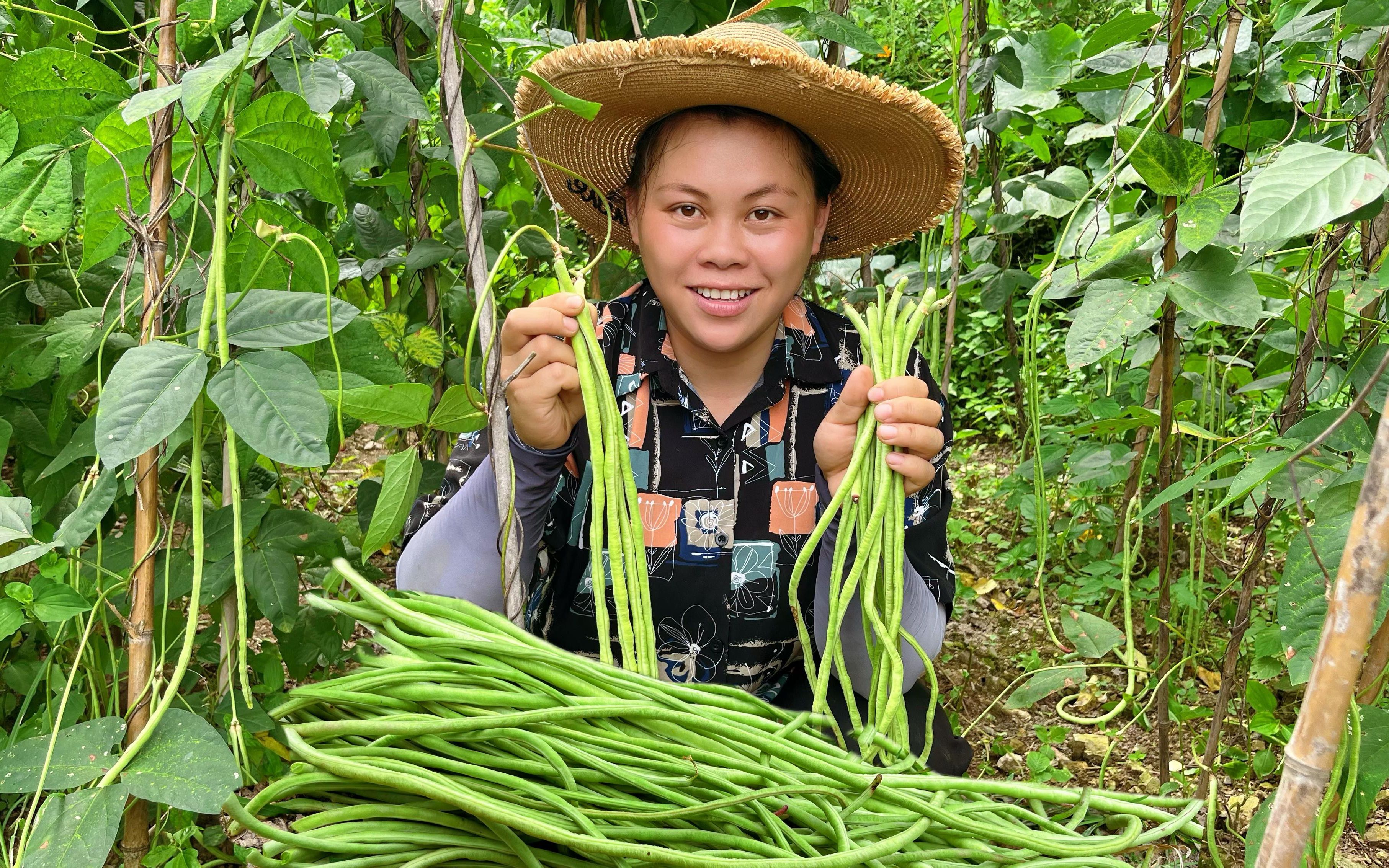 女子在农村种了各种蔬菜,今天摘了很多豆角,看她做成啥好吃的