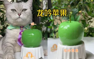 Download Video: 猫王：米其林龙吟青苹果！