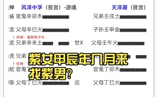 下载视频: 网友付费投稿：紫女甲辰年几月来找紫男？