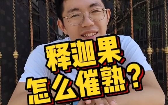 【大学生返乡】释迦果怎么催熟?哔哩哔哩bilibili