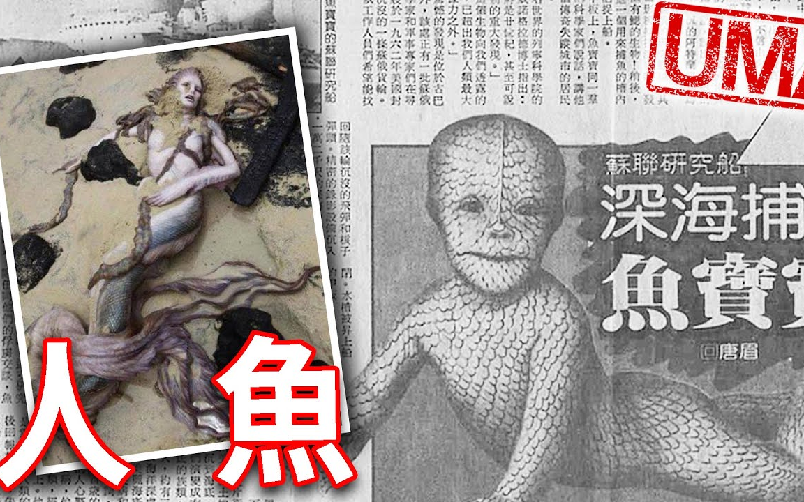 [图]2020/06/26/杰斯特【UMA檔案】「人魚」- 人面魚身，真面目是海底人_美人魚真的是美人嗎_