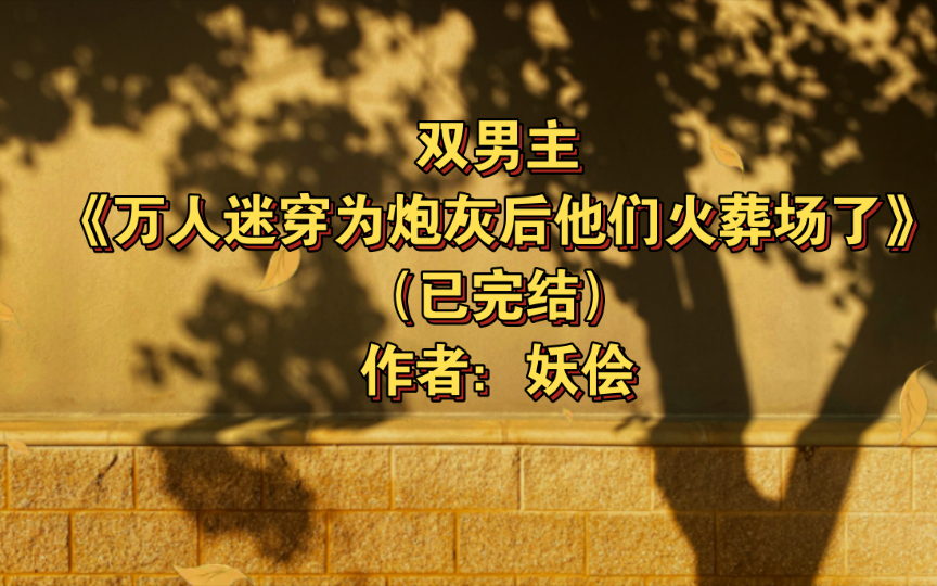 [图]双男主《万人迷穿为炮灰后他们火葬场了》已完结 作者：妖侩，主受 天作之合 打脸 系统 快穿 穿书 万人迷【推文】晋江