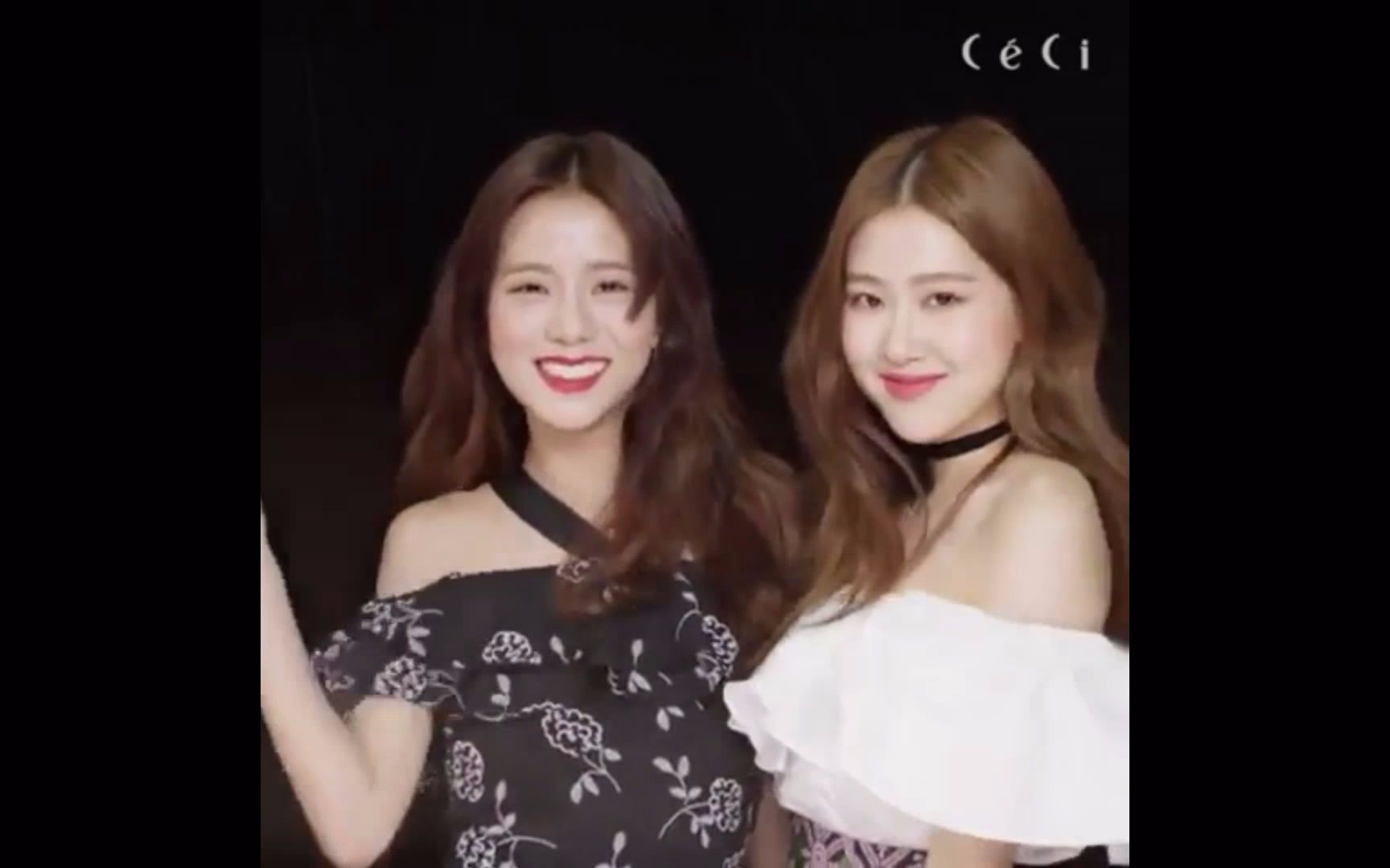 【BLACKPINK】JISOO&ROSE 酥肉CP杨树林口红视频哔哩哔哩bilibili