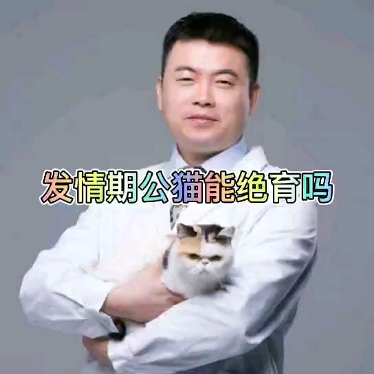 发情期公猫能做绝育么哔哩哔哩bilibili