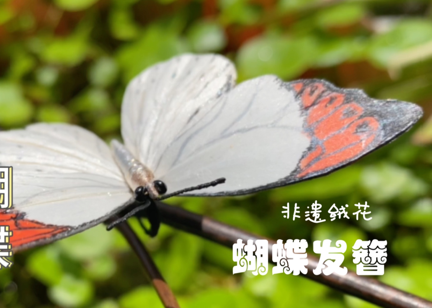 蝶变之美:手作蝴蝶过程揭秘?