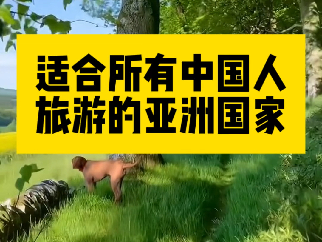 适合所有中国人旅游的亚洲国家,对中国人免签证费,区别对待中国人和欧美人!哔哩哔哩bilibili