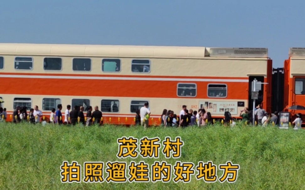 周末打卡的好地方"古林镇茂新村"