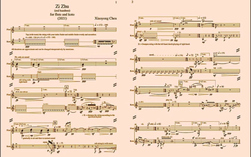 【陈晓勇】紫竹  为长笛与日本筝而作 Zi Zhu (The Red Bamboo), for Flute and Koto哔哩哔哩bilibili