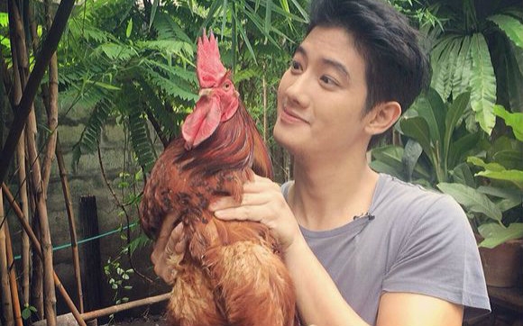 【泰国】农业节目 ep3 鸡☆2014-08-15_高清