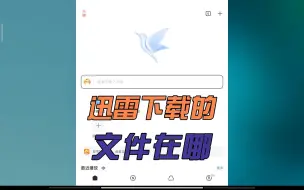 Tải video: 迅雷下载的文件在哪，我的疯马秀在哪文件夹