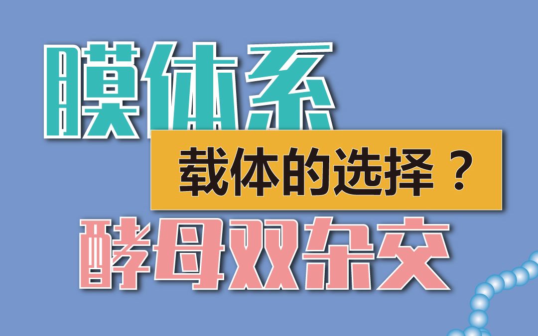 膜体系酵母双杂交如何选择载体哔哩哔哩bilibili