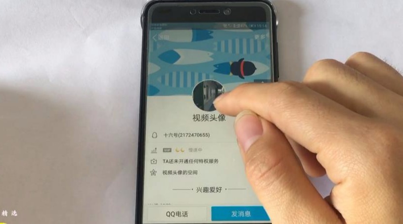 QQ视频动态头像,如何自定义设置哔哩哔哩bilibili