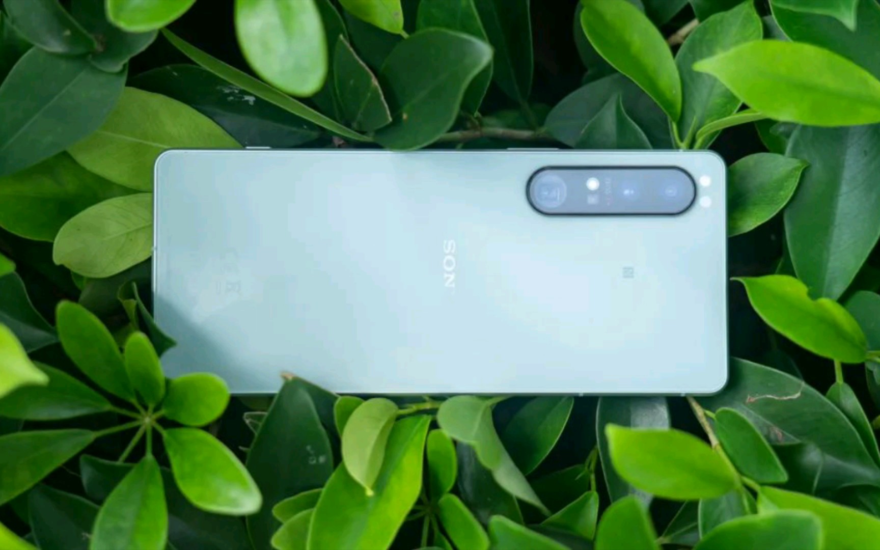 冰雾白 - pogonip white