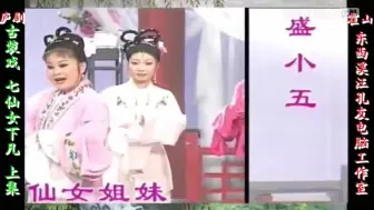 下载视频: 庐剧《七仙女下凡》宽屏欣赏版 共两集