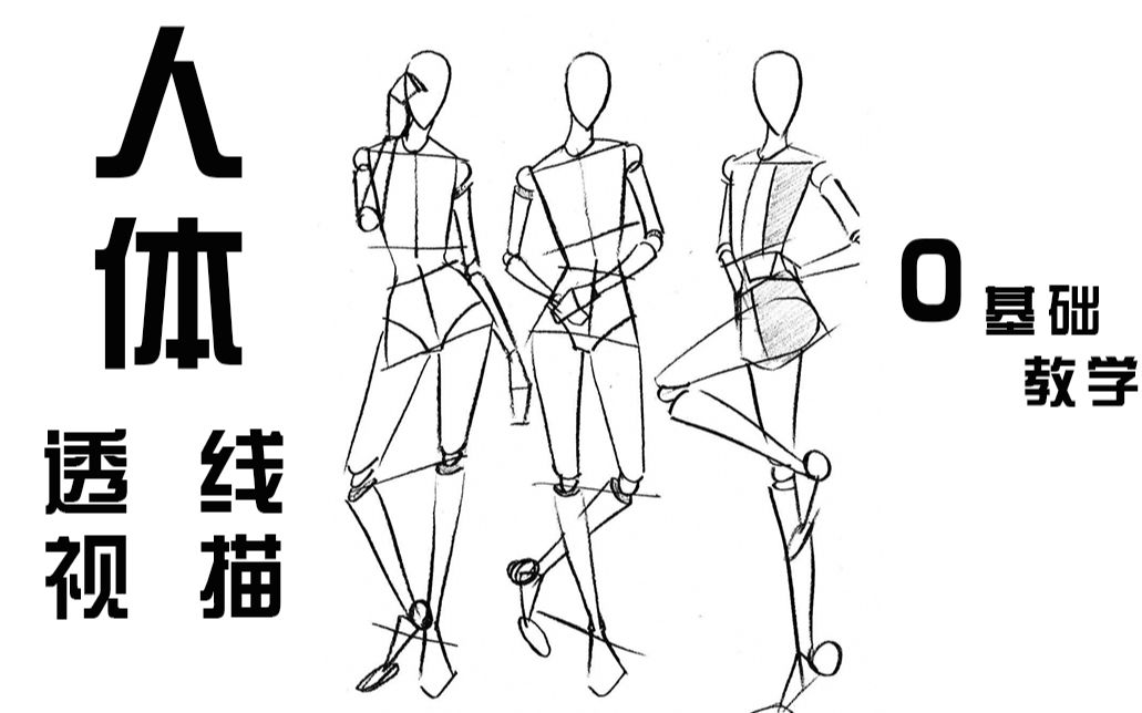 【手绘漫画】人体透视线描零基础详细教学,一看就会,一学就懂,你学费