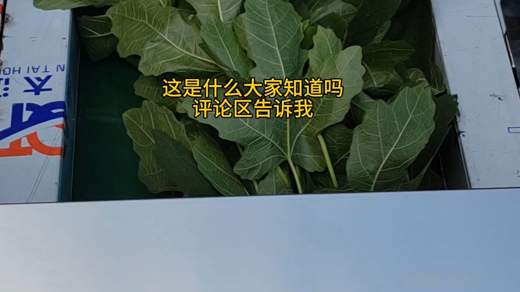 今天给大家分享一种很火的切药神器,适用于根茎类、木之类、草药类,藤条类,切段、切片、切丝,一机搞定,速度快,效率高,每小时可切 500 公斤,省...