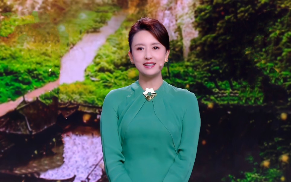 《欢乐城市派~宝藏武隆》张蕾主持剪辑!_哔哩哔哩_bilibili