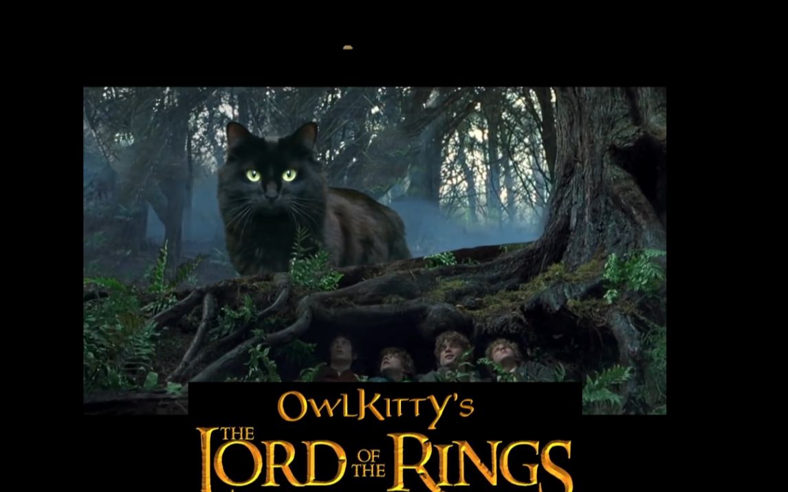 [图]【OwlKitty】指环王Lord of the Rings -- starring my cat OwlKitty