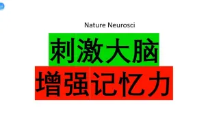 Download Video: Nature Neurosci—增强海马-前额叶的神经活动同步性可提高人类的记忆力