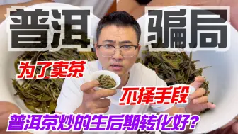 Descargar video: 普洱茶炒的生后期转化好？为了卖茶不择手段！阿伟揭秘行业骗局！