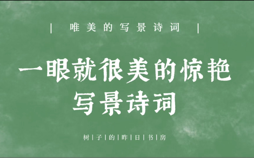 “高槐叶长阴初合,清润雨馀天”一眼就很美的写景诗词.哔哩哔哩bilibili