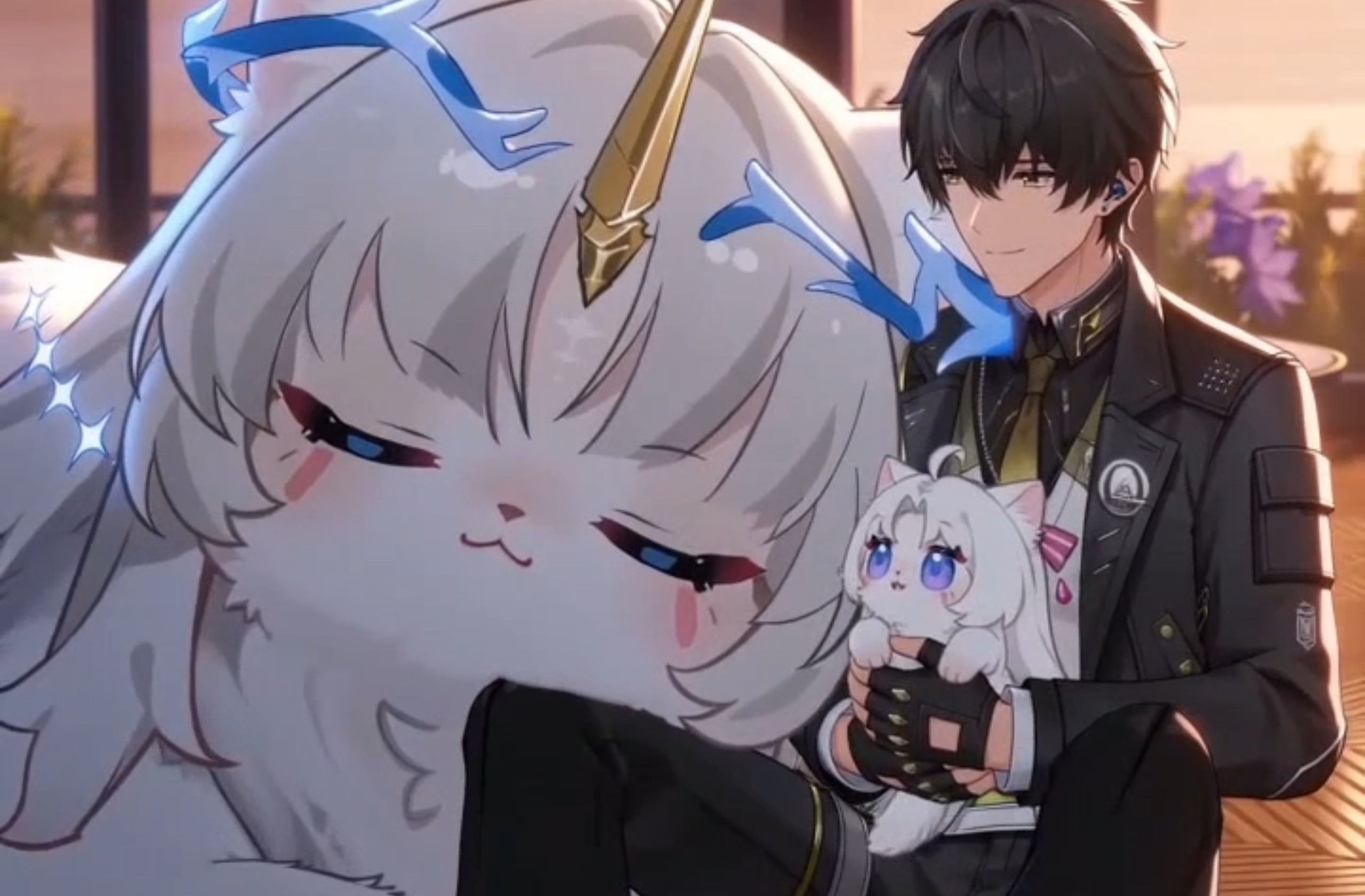 抛猫猫