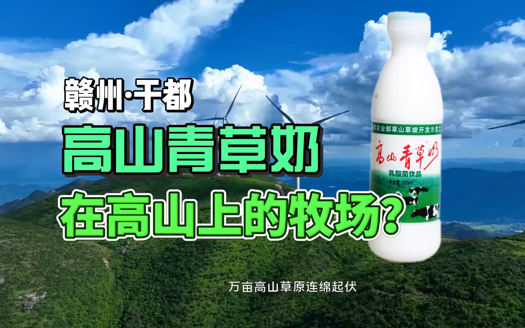 赣南老表小时候都喝过的酸奶——高山青草奶哔哩哔哩bilibili