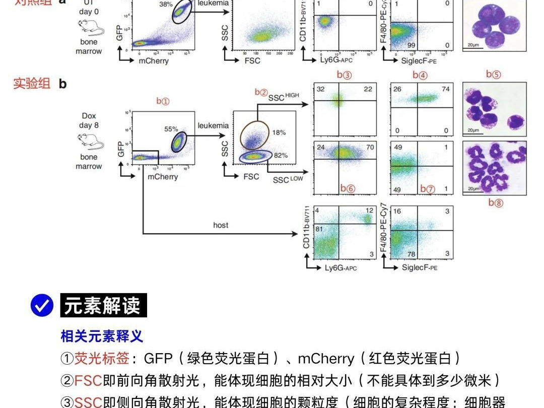 不允许还有人不会看流式细胞结果图
